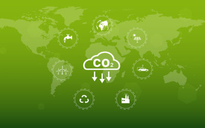 Adaptation: The Key to reducing the carbon footprint